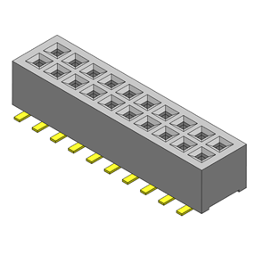 P/H1.0mm 雙排排母 CC211